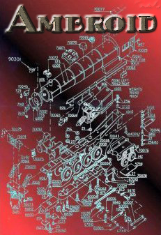 Ambroid Diagrams and Information